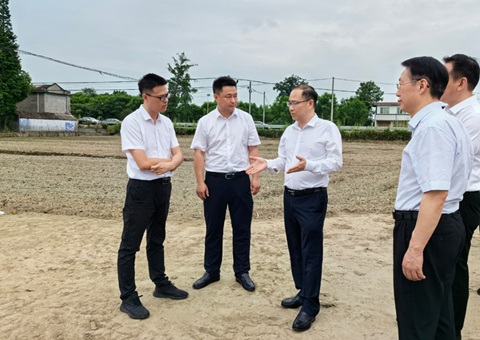 胡云赴眉山调研耕地；だ煤透叱叨扰┨锝ㄉ韫ぷ