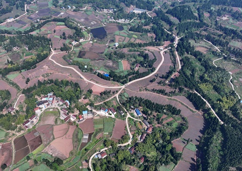 内江市东兴区局全面做好耕地； 全力做好用地保险