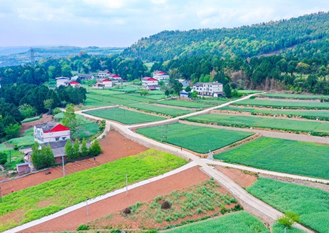 广元市奉杏装卫星田长”科技助力精准；じ
