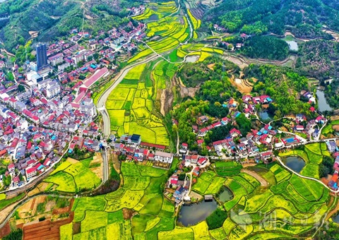 “点土成金”育新机——全域河山综合整治为湖北村落全面振兴赋能