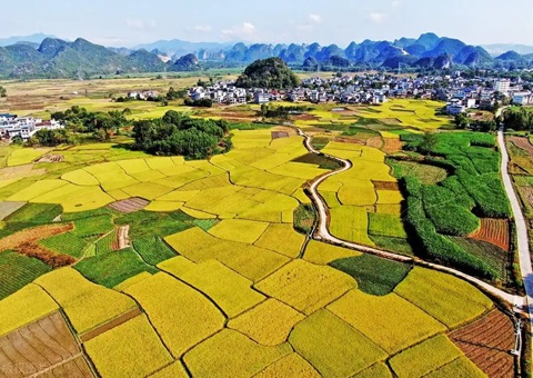 强化“指挥棒”作用&nbsp;&nbsp;柳州市发放500万元耕地；ぁ凹だ彀