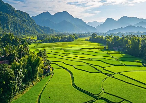 “天然资源+税务”协同共治！崇左筑牢耕地；び胨笆铡八老摺