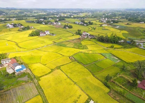 四川省遂宁市局多行动加强一时用地审批服务与治理