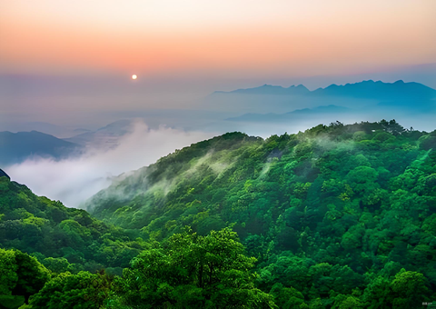 福建丛林提质四大行动打造苍生“幸？可健