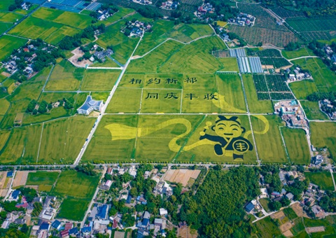 成都颁布耕地；す婊〗10年这样筑牢“天府粮仓”根基