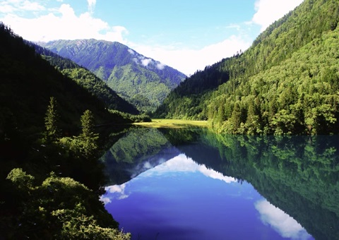 预计2025年底，四川省“林粮”产量1500万吨、产值1800亿元