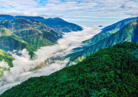 “组合包”，通顺生态产品价值转化