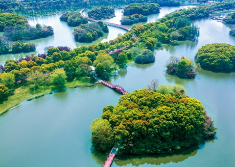 江西省湿地；ぢ室汛61.99%