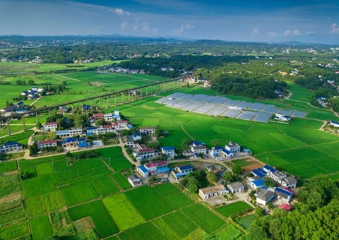 湖南：靶向发力盘活存量地皮资产<br>为206家机关企事业单元定造措置规划，盘活地皮2.6万亩