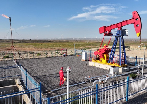 宁夏纵深推动新一轮找矿突破战术行动，执行一批煤层气、页岩气、煤炭等勘查项目