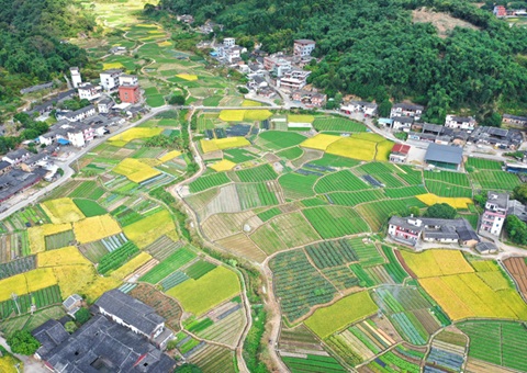 94宗千余亩用地入市 带头投资超28亿元 泉州“集建入视妆试点工作获得阶段性功效