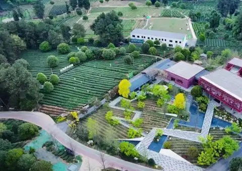 林间“种”出科创空间：四川蒲江用生态颜值撬动经济价值