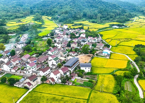 安徽省天然资源厅：130个乡镇耕地；こ删屯蛊 获赔偿激励1.3亿元