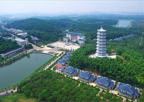 湖北：用好“一张图” ，智治有支持