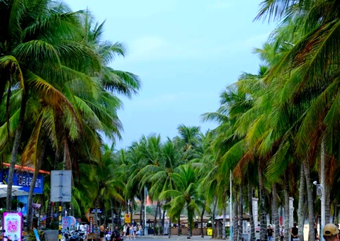 建“清冷城视妆，海南有何“凉方”?