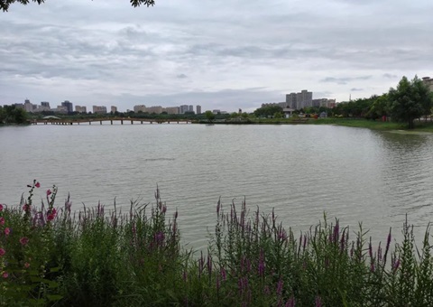 宁夏成立林草湿荒调查监测与河山调换调查协同机造