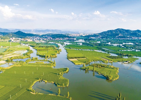 浙江率先完玉成国首个国度公园资产查究试点和全省域建设用地使用权情况查究。