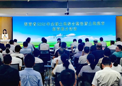海南进行2025年全域地皮综合整治暨地皮超市招商推介活动