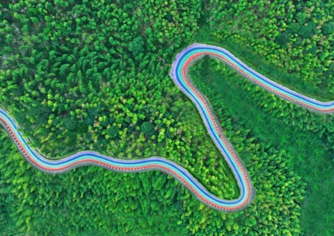 组合供给出新招，竹海收益节节高——桃江县“桃花江竹海”天然资源资产组合供给推动生态产品价值实现案例