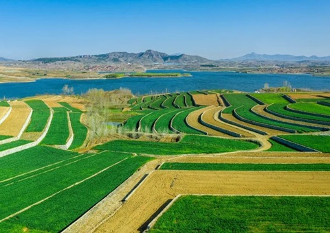 山西打算用5年发展一轮全域地皮综合整治